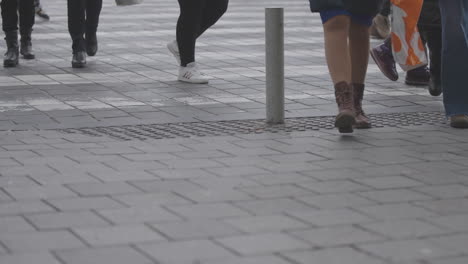 people crossing a street