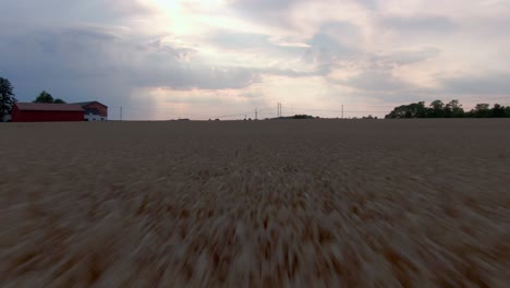 Rapid-flyover-Wheat-Plantation-Countryside-at-Sunset