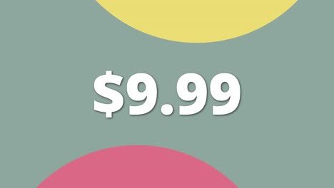 dynamic and vibrant video clip showing price 9.99 great fit for online ads or digital banners