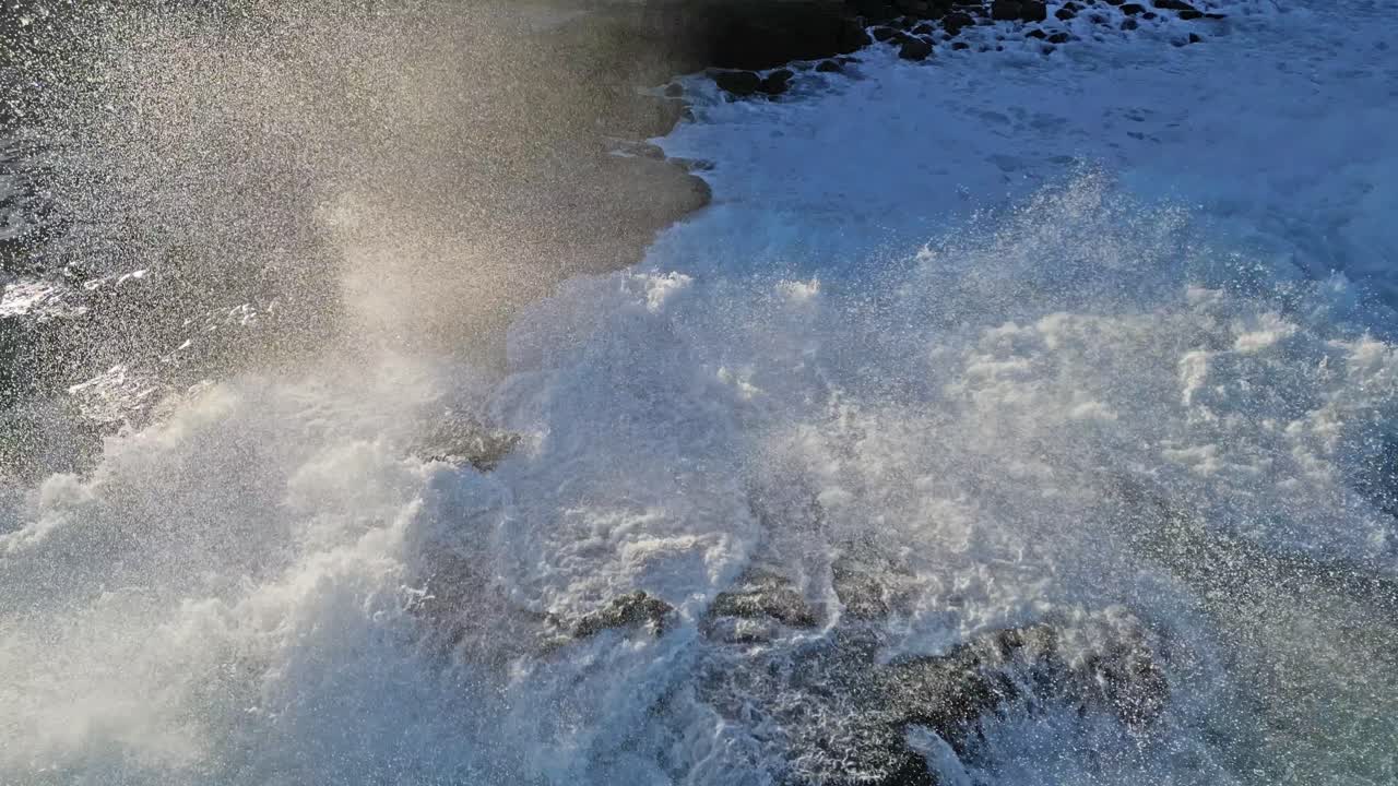 큰 파도가 튀고 갈매기가 라홀라 캘리포니아에서 왕의 조수 동안 날아가는 동안 바위 절벽에 바다 사자의 드론 샷