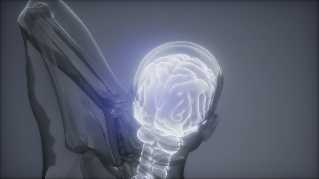 허리  ⁇ 에 허리 통증