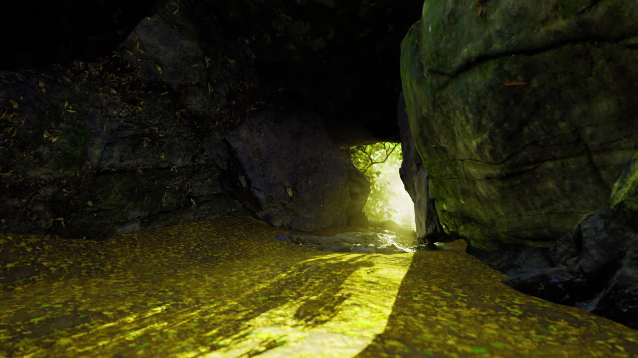 Natural cave entrance illuminated by sunlight filtering through trees