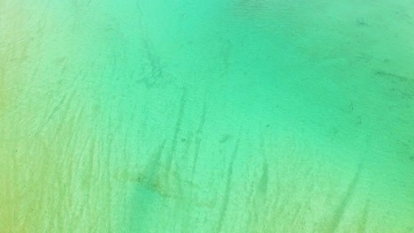 Drone-shot-of-Torch-Lake,-Michigan