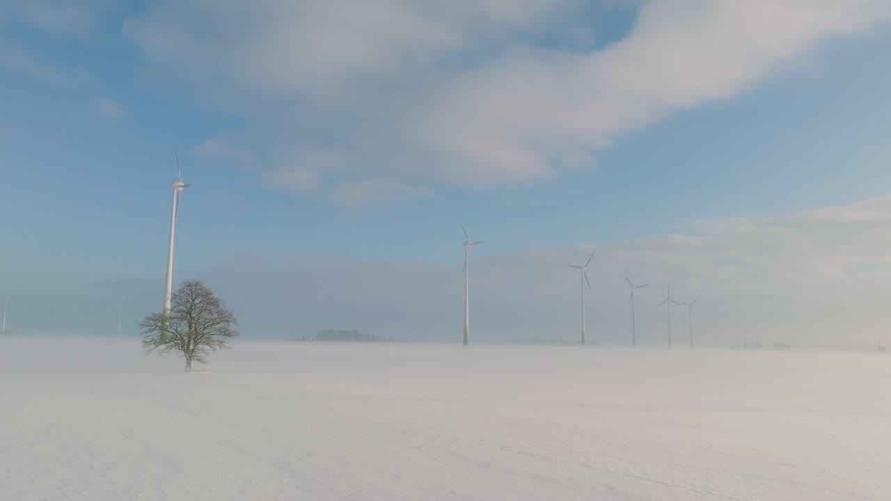 풍력 발전소에서 재생 가능한 에너지를 생성하는 풍력 터빈의 공중 전망, 눈이 가득한 시골 풍경, 안개와 외로운 오크 나무, 화창한 겨울날, 넓은 드론 샷이 앞으로 낮게 움직입니다.