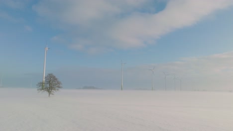 vista aérea de turbinas eólicas que generan energía renovable en el parque eólico, paisaje rural lleno de nieve con niebla y roble solitario, día soleado de invierno, amplio tiro de drones avanzando bajo