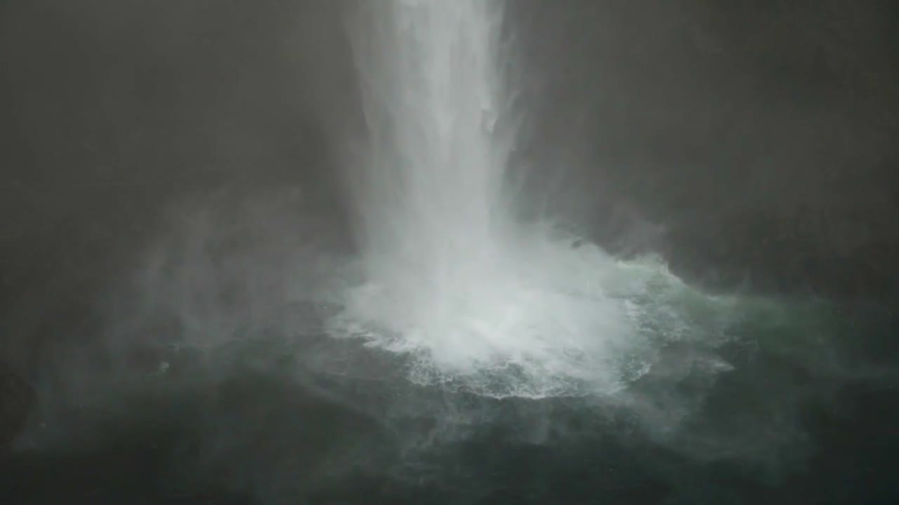 snoqualmie의 바닥은 슬로우 모션으로 가을의 안개 낀 아침에 떨어집니다.