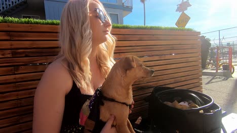 beautiful young blonde girl holds a cute dog wearing a backpack in daytime