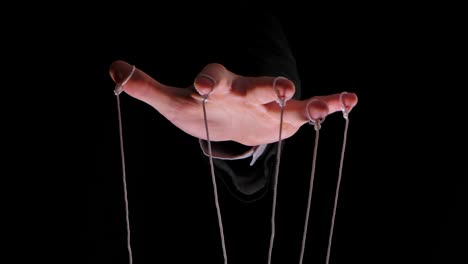 Puppet Master Hand