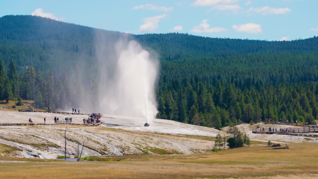 Old Faithful Geyser Erupting in Yellowstone National Park