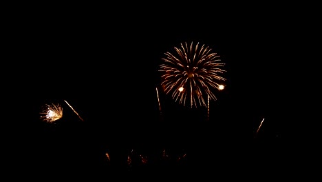 국가 공휴일, 새해 파티 또는 축제 행사 중에 밤에 하늘에서 실제 황금 불꽃 축제의 4k 루프