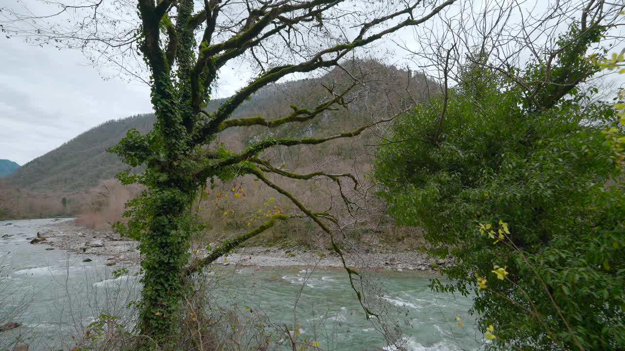 산 과 나무 가 있는 강 장면