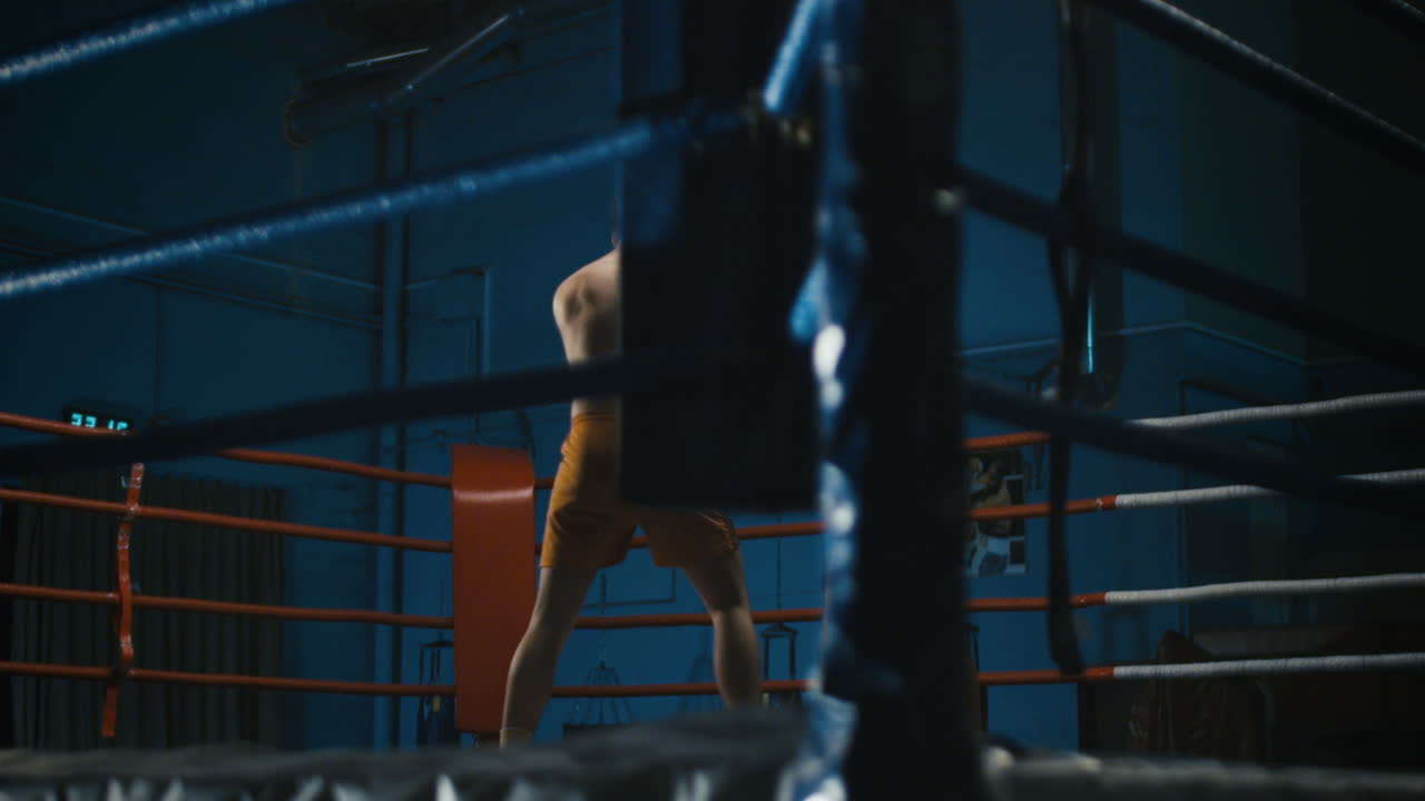 권투 훈련 세션