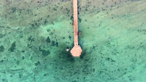 aerial view of people swimming near a pier in turquoise water