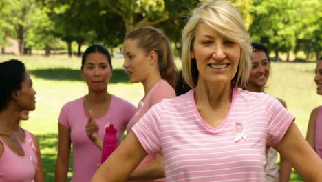 activists for breast cancer awareness in the park