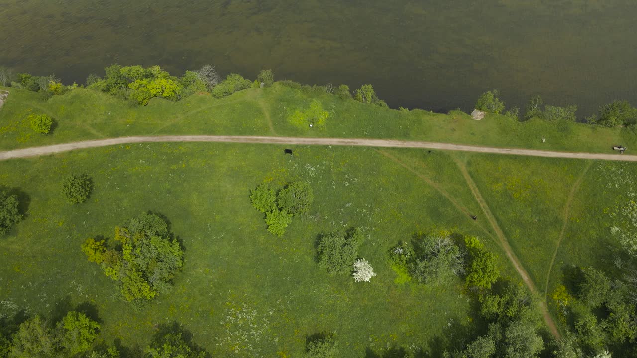 Gorgeous top down aerial drone revealing footage of a steep and high altitude cliff bank near a rocky and sandy ocean sea shoreline during a summer sunny day, mud roads and treetops visible, horizon.