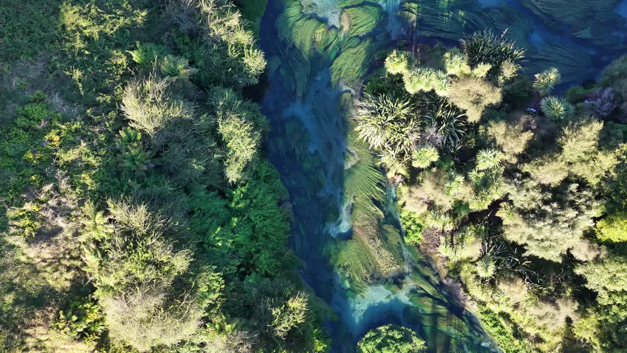 Vista aérea de un río de aguas cristalinas y un bosque exuberante en Te Waihou Walkway en Nueva Zelanda