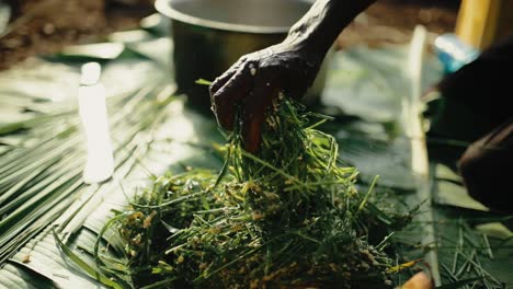 African hand mixing spear grass and mashed bananas to make banana beer in Uganda