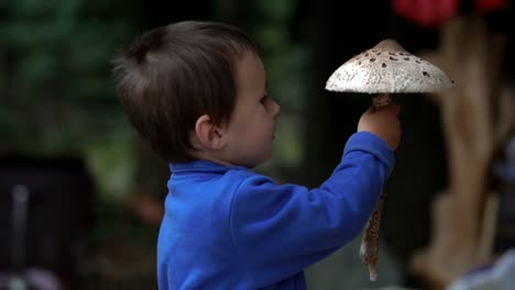 little caucasian boy holding and admiring huge flat mushroom, slow motion