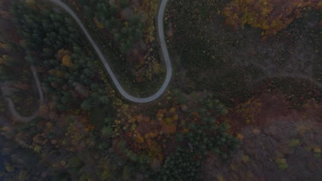 Zig-Zag-in-Zagorze-Slaskie-Poland