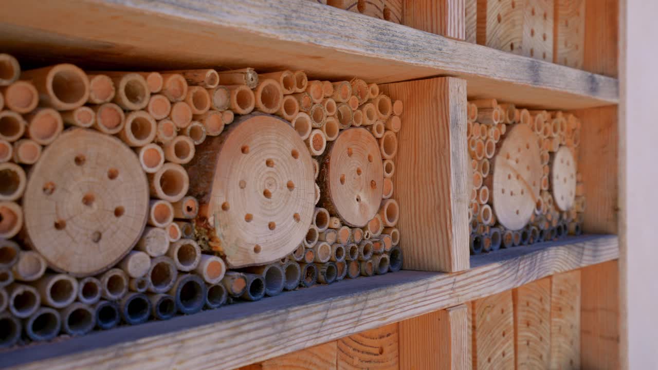 wooden insect and bugs house