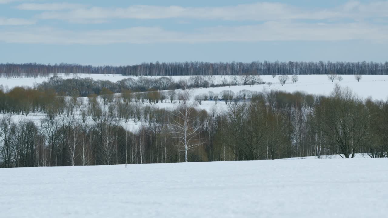 Early spring snowy landscape with flying clouds on sky. Snowy field covered with white snow. Pan.