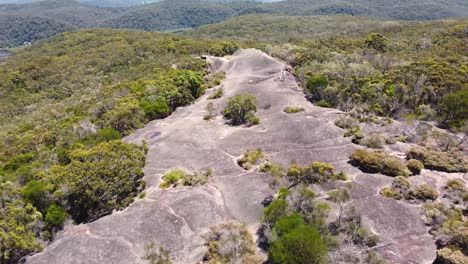 patonga beach bushland 코끼리 암석 관광 관광 브리즈번 워터 국립 공원 중앙 해안 nsw 호주 4k의 공중 무인 항공기 샷