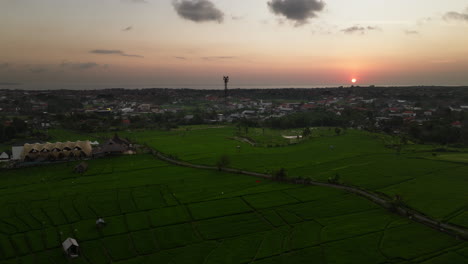 Vista-Aérea-Del-Atardecer-Sobre-Los-Arrozales-Y-El-Pueblo-Turístico-De-Canggu,-Bali.