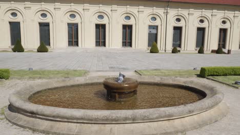 two pigeons bathing in a fountain at prague castle, czech republic