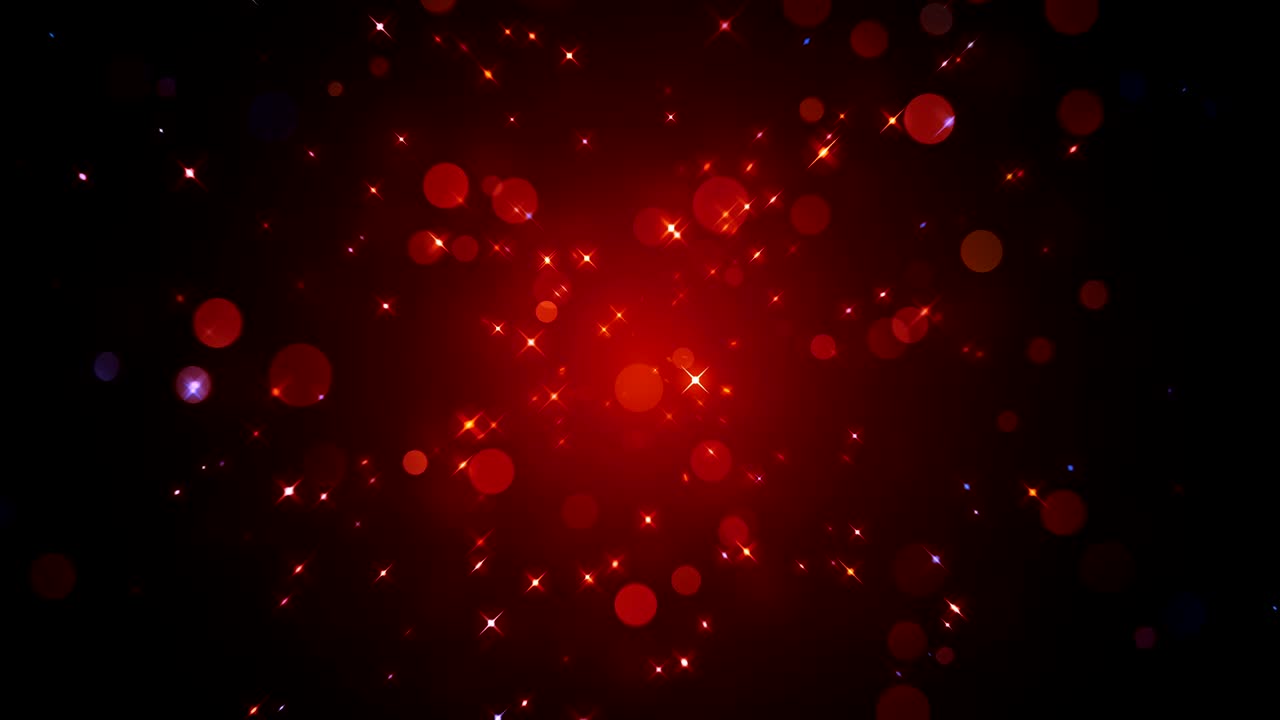 반이는 반이는 입자