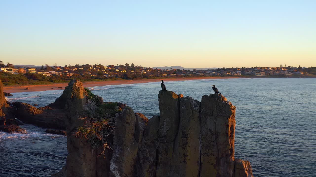 siluetas de pájaros acuáticos posados en las famosas rocas de la catedral cerca del municipio de kiama en nueva gales del sur, australia