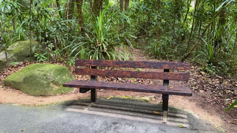 wooden bench in a tropical forest