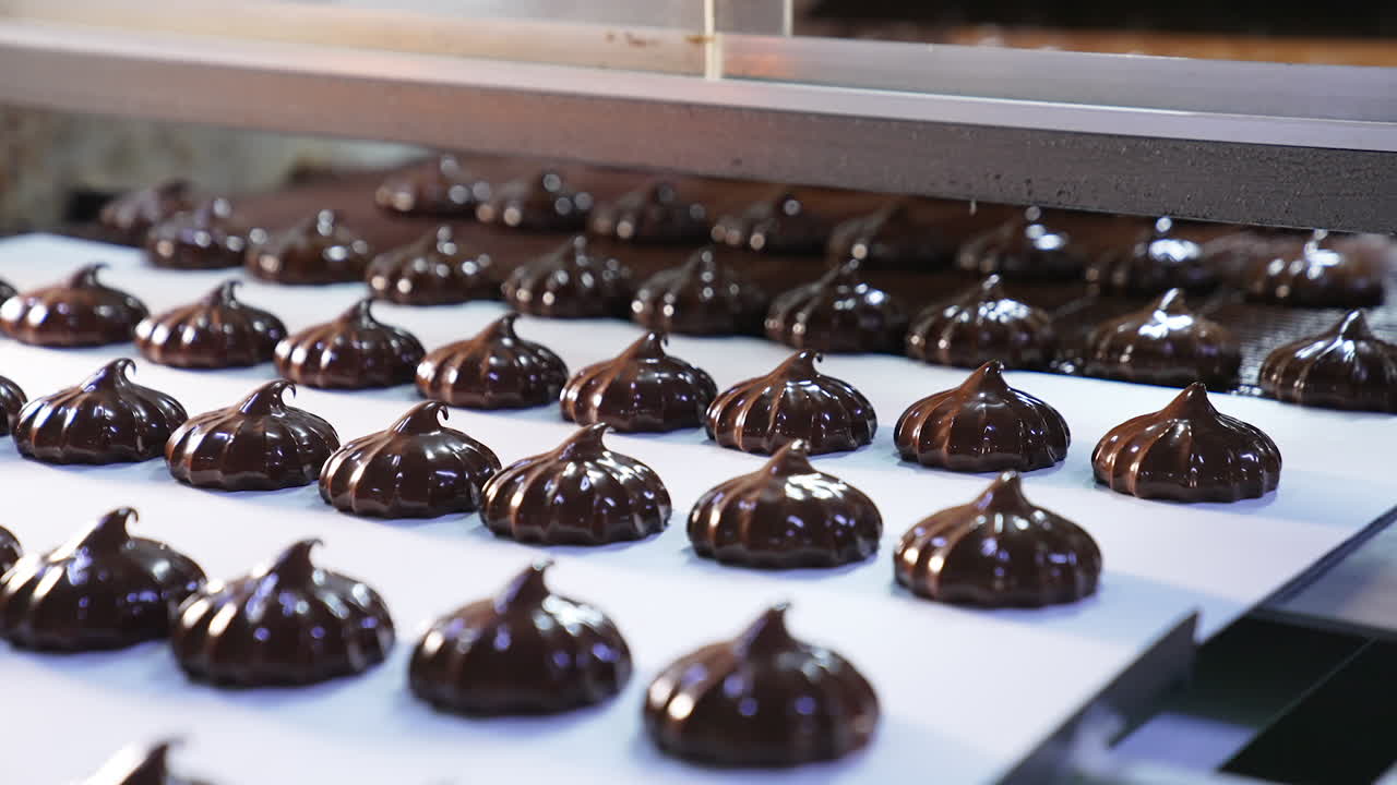 Desserts covered with chocolate move from conveyor grid to the conveyor belt. Freshly-made zephyr desserts close up.