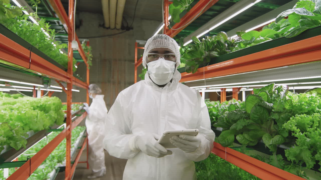Portrait Of Male Agronomic Engineer At Vertical Farm