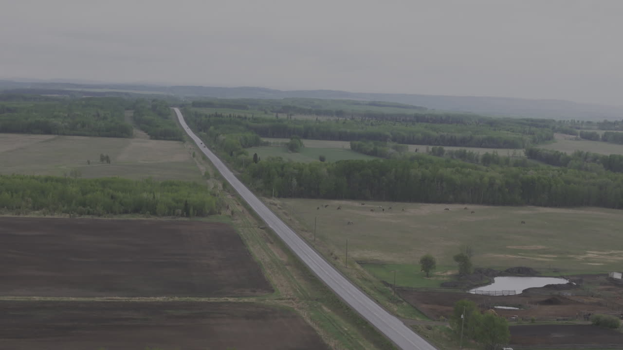 Aerial view of an empty road winding through Alberta’s wilderness