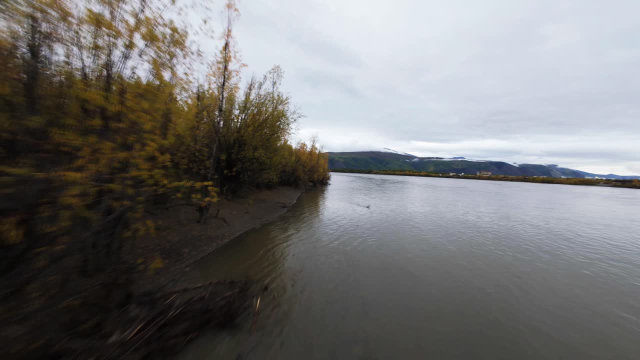 이 항공 여행은 가을에 야쿠티아의 조용한 강변 풍경을 선보이며, 활기찬 잎자루와 넓은 물을 강조합니다.