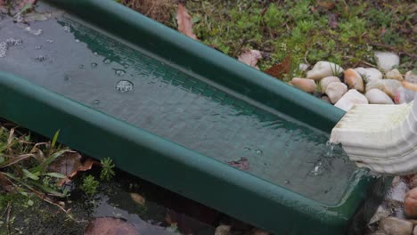 rain coming out of gutter into a yard