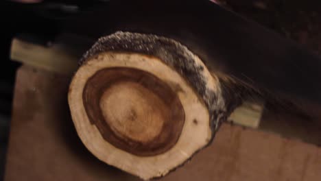 Raw wooden log cutting with a handsaw with difficulty, closeup