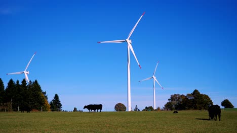 Friedlich-Grasende-Kühe-Im-Windpark-Für-Nachhaltige-Energie