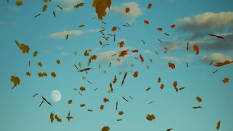 animation of autumn leaves falling over sky with clouds and moon