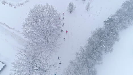 Toma-Aérea-De-Arriba-Hacia-Abajo-Que-Muestra-A-Un-Grupo-De-Esquiadores-De-Fondo-Esquiando-En-Un-Campo-Nevado-Blanco-Durante-El-Torneo