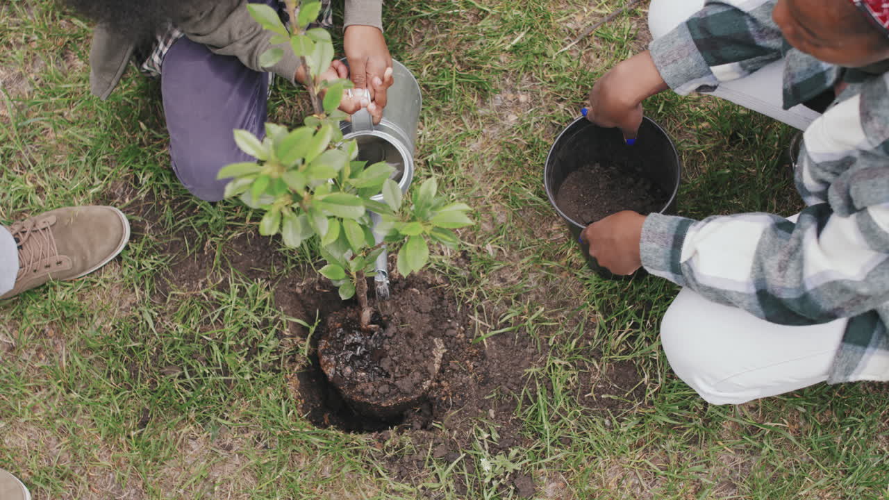 People Planting Tree Outdoors