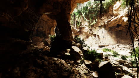 exploring a lush cave with sunlight streaming through at midday