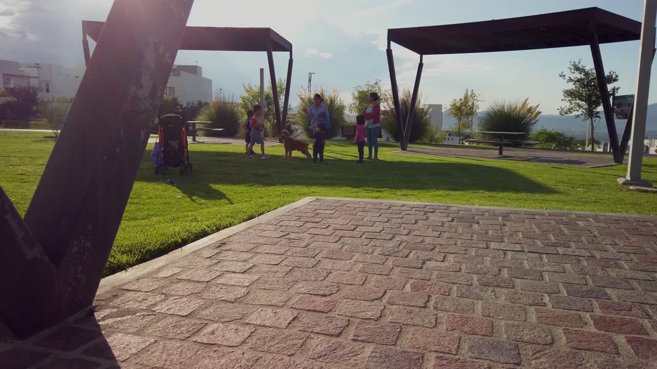 Beautiful day to play with the dog at the park.