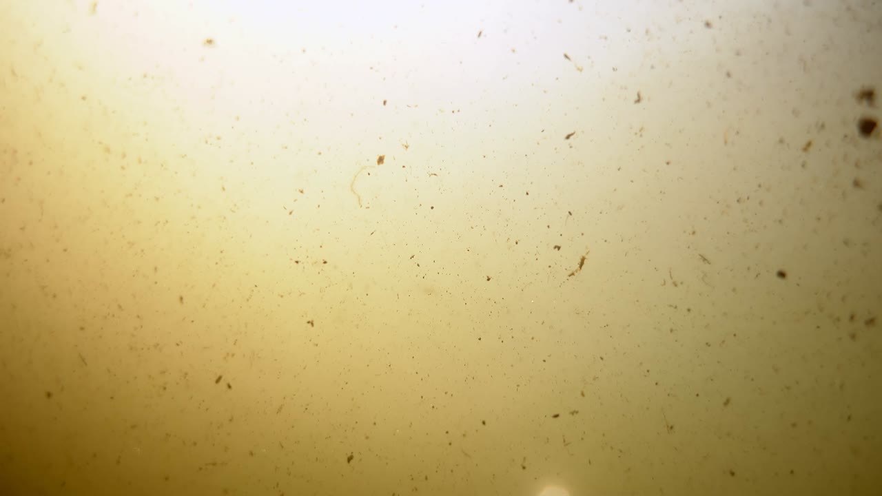 호수의 물 속의 입자들이 회전합니다.