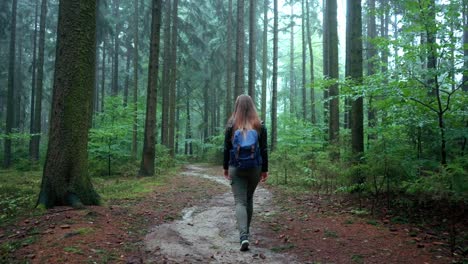 Young-girl-walks-in-slow-motion-through-a-dense-forest-along-a-path-in-autumn