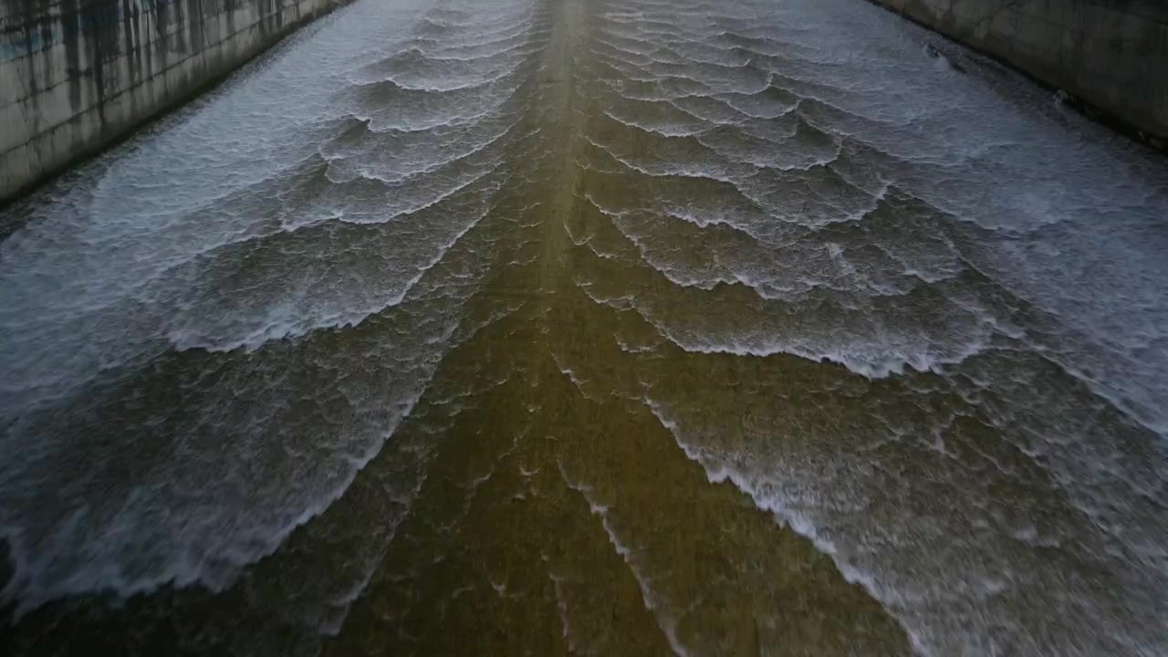 Water flows down a broad concrete dam, framed by trees under an overcast sky. Ideal for environmental documentaries or engineering projects.