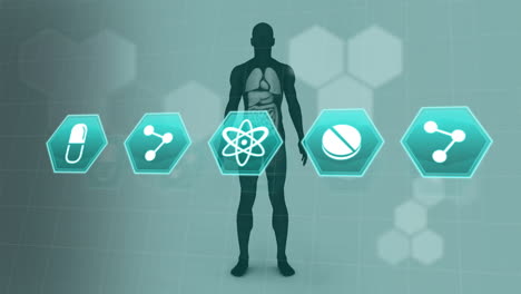 animation of medical icons over human body model