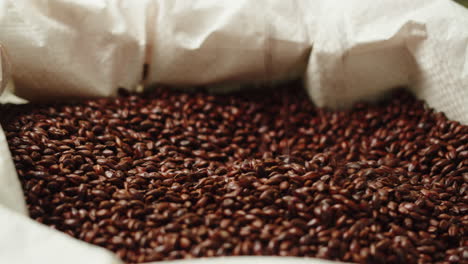 dry black golden barley malt close-up. craft beer production. ripe wheat grains texture. brewery concept. harvesting and farming, grocery