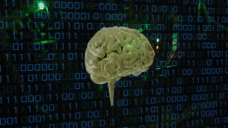 animation of human brain and binary coding data processing over computer servers