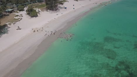 vista aérea de niños jugando en el océano en kailua oahu en un día soleado